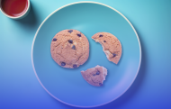 plate of cookies in various states of consumption